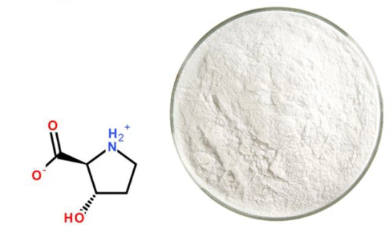 L proline powder-1.png
